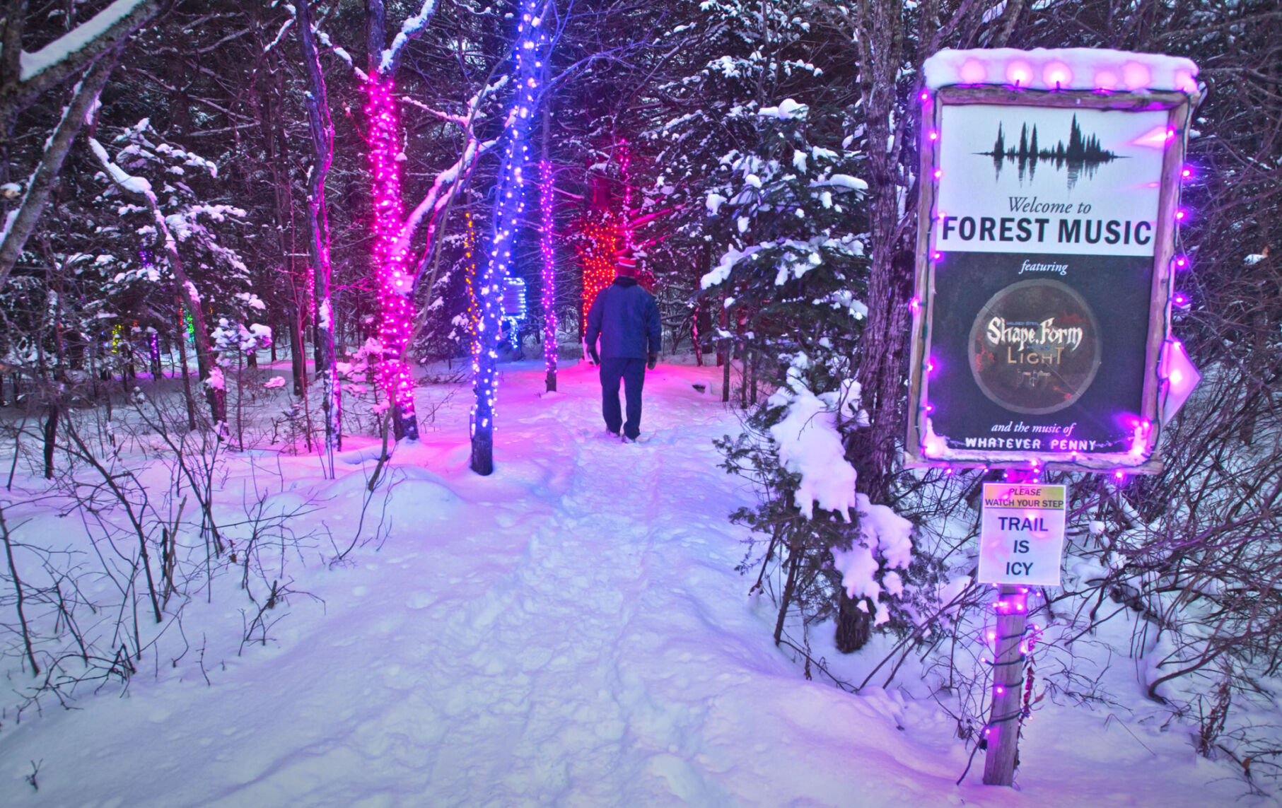 Wild Lights: An enchanted experience